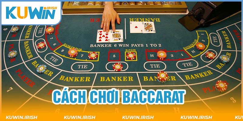 Hướng dẫn các tân thủ về cách chơi baccarat