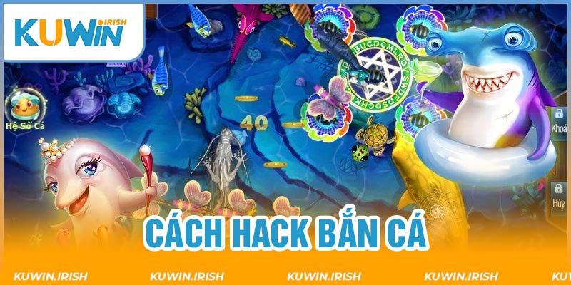 Đôi nét về cách hack bắn cá