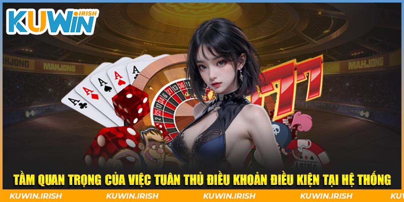 Tầm quan trọng của việc tuân thủ điều khoản điều kiện tại hệ thống