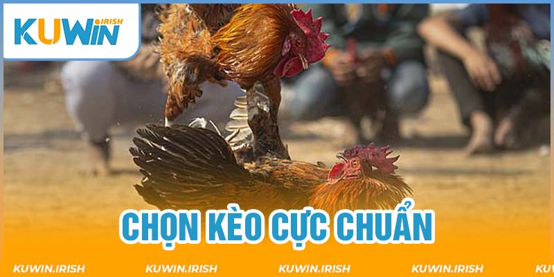 Cách chơi đá gà ăn tiền chuẩn luật