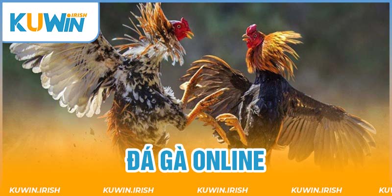 Hướng dẫn trải nghiệm chọi kê online